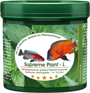 supreme_plant_l